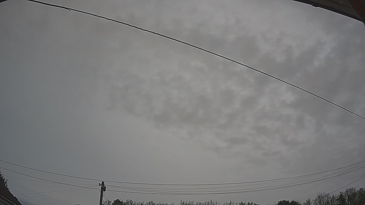 20260829_083423_cam2.jpg