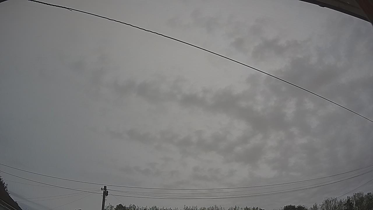 20260829_083859_cam2.jpg