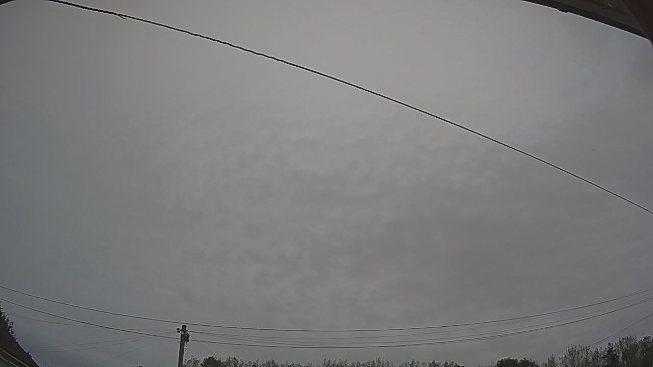 20260829_085246_cam2.jpg