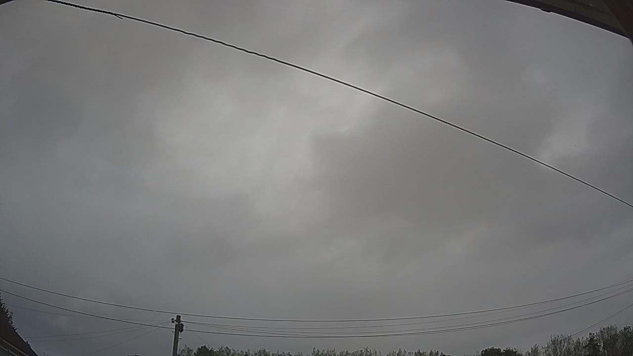 20260829_100140_cam2.jpg