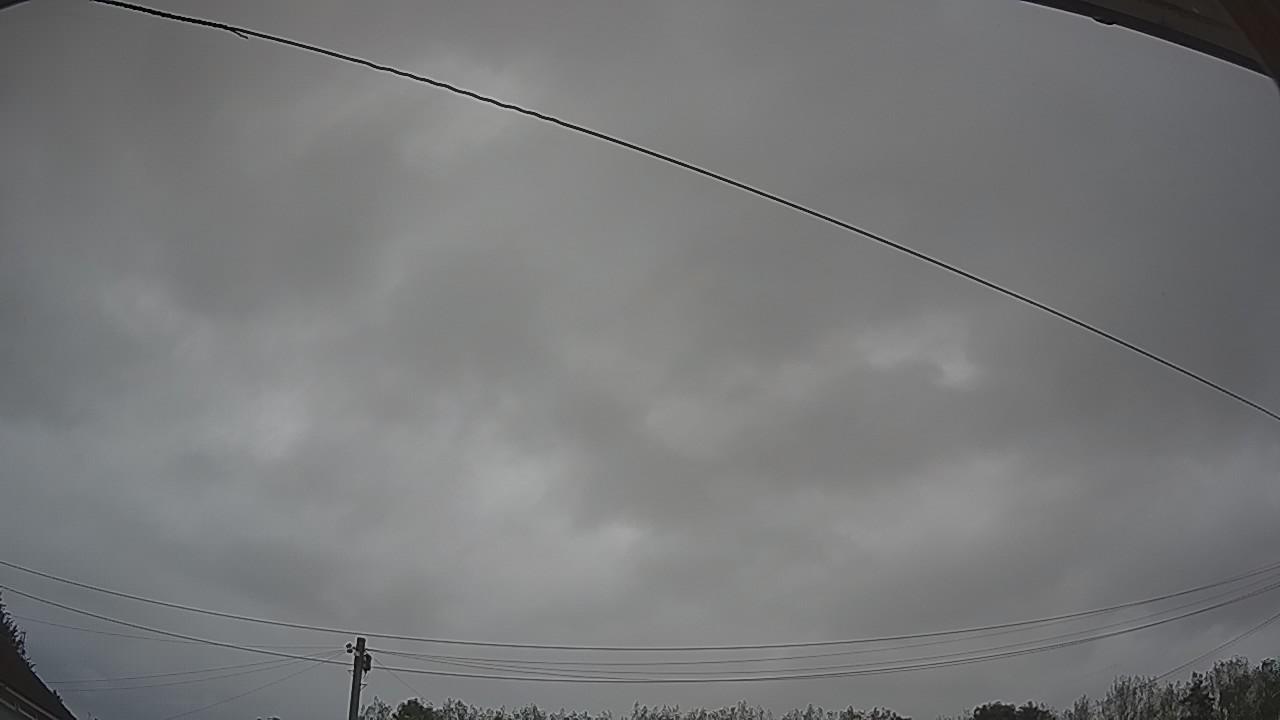 20260829_100615_cam2.jpg