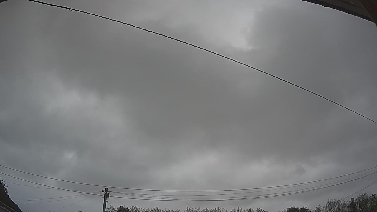 20260829_101050_cam2.jpg