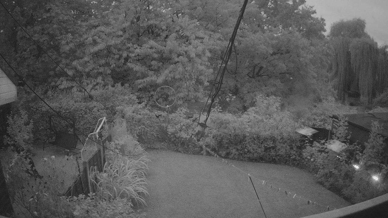 20260829_193818_cam1.jpg