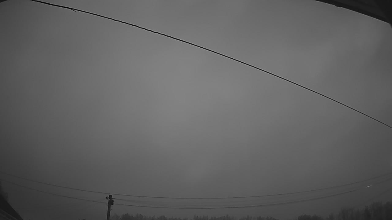 20260830_045052_cam2.jpg