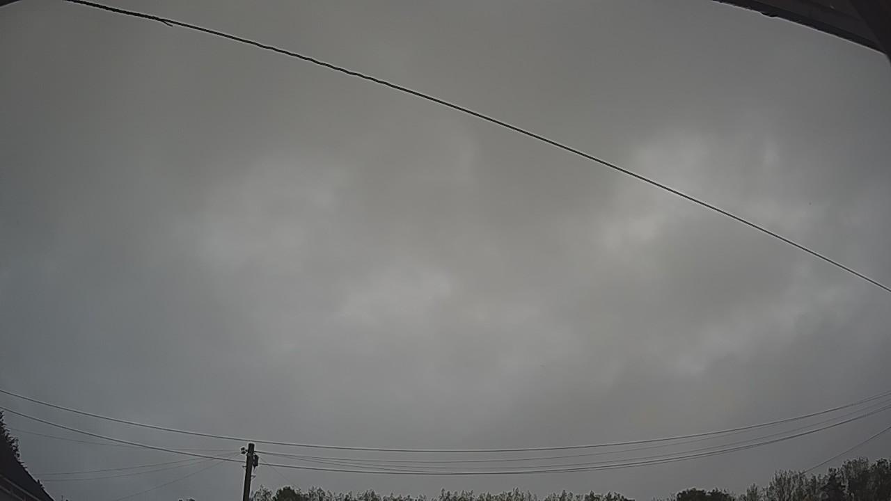 20260830_052301_cam2.jpg