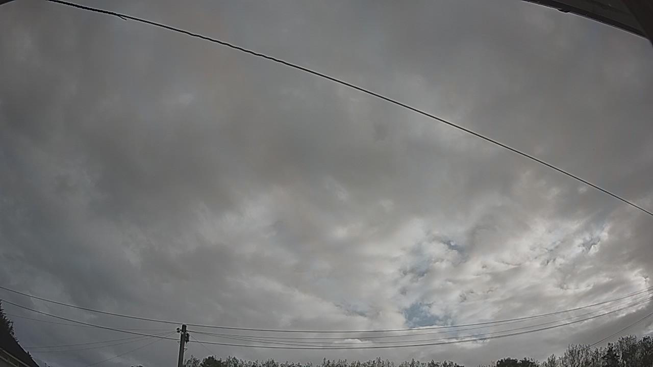 20260830_074820_cam2.jpg