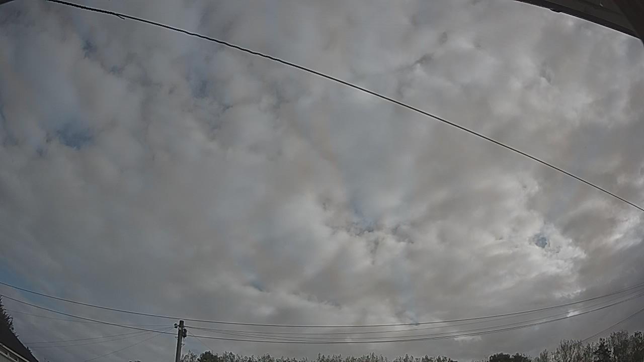 20260830_080200_cam2.jpg