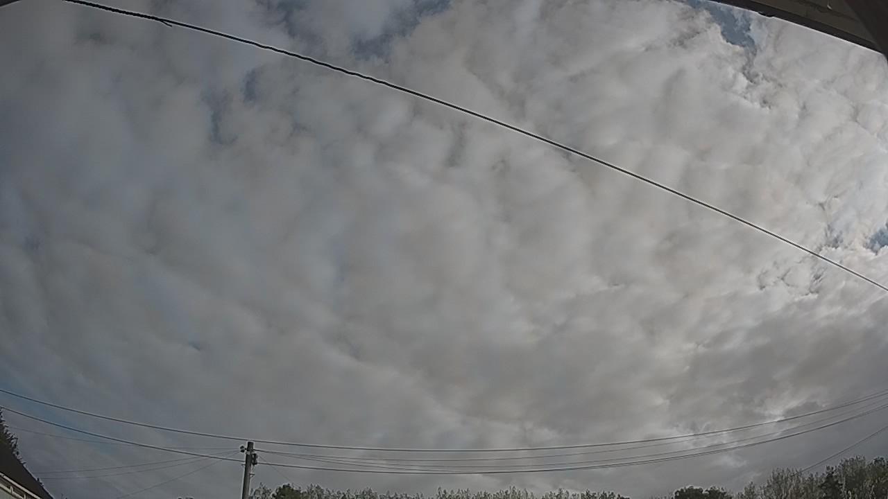 20260830_080627_cam2.jpg