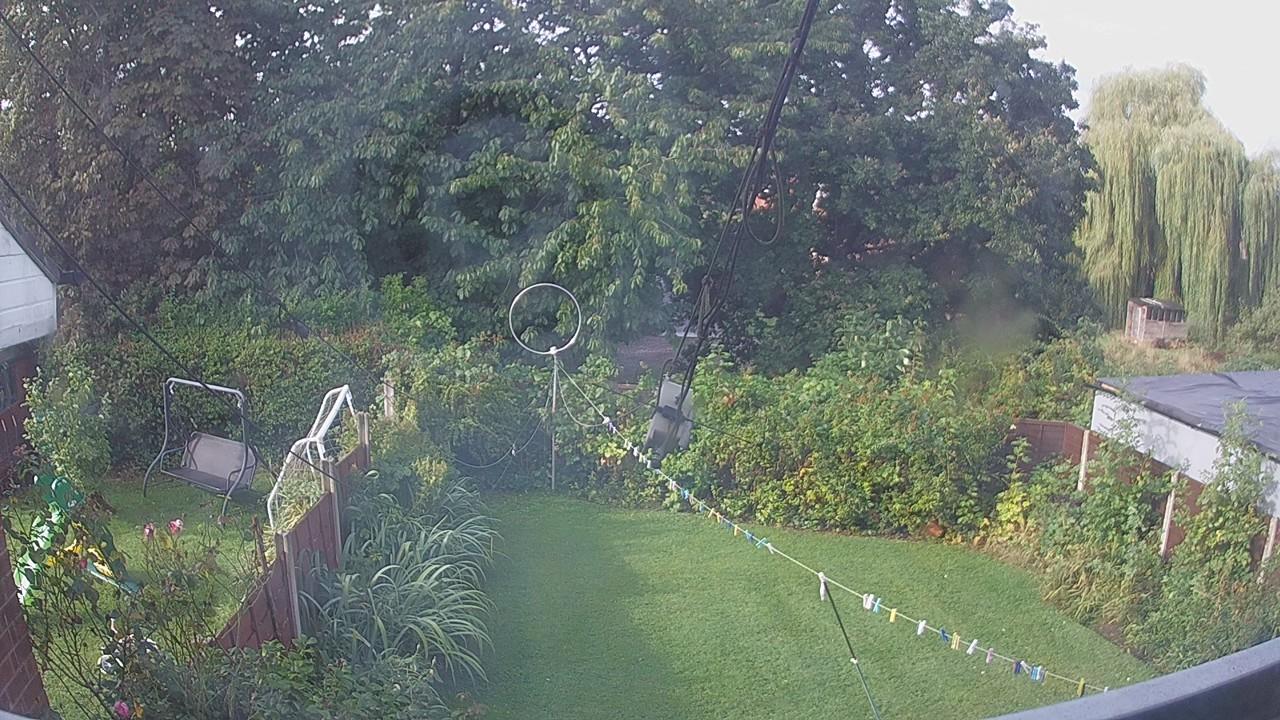 20260830_081053_cam1.jpg