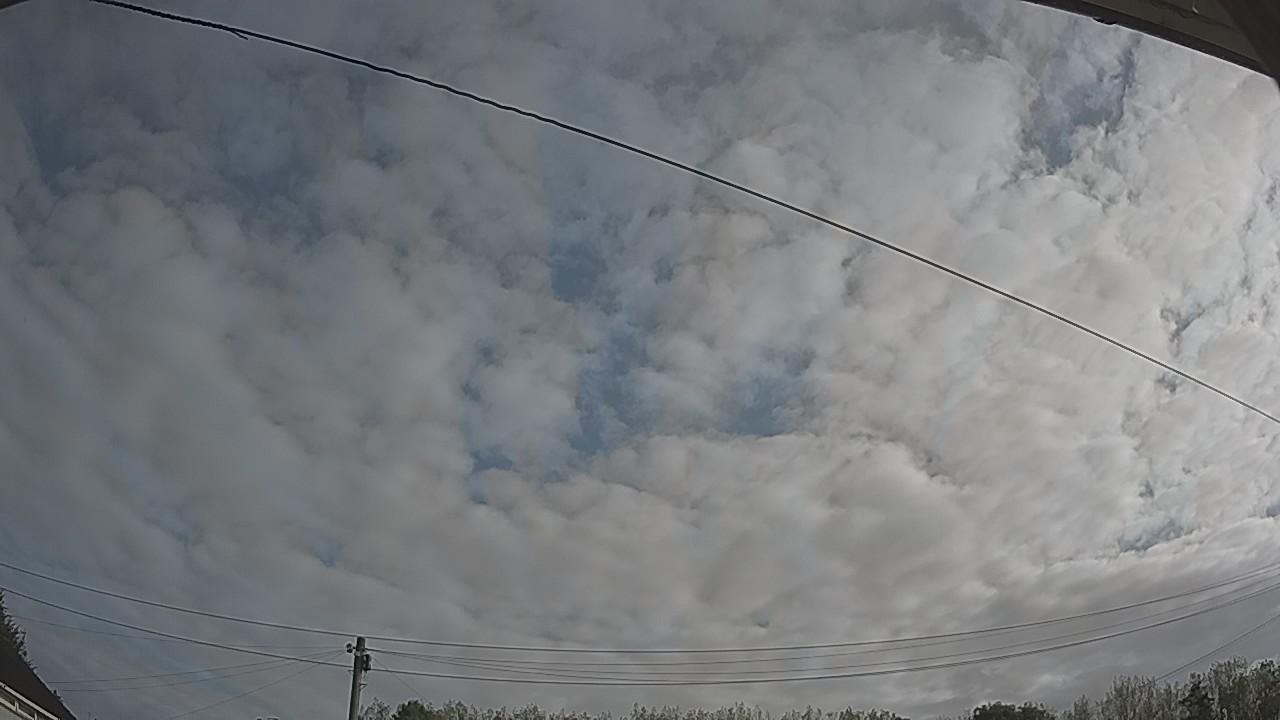 20260830_081054_cam2.jpg