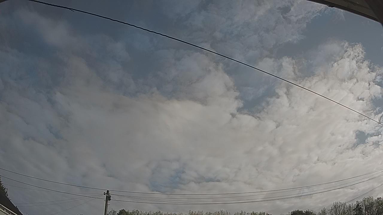 20260830_081521_cam2.jpg