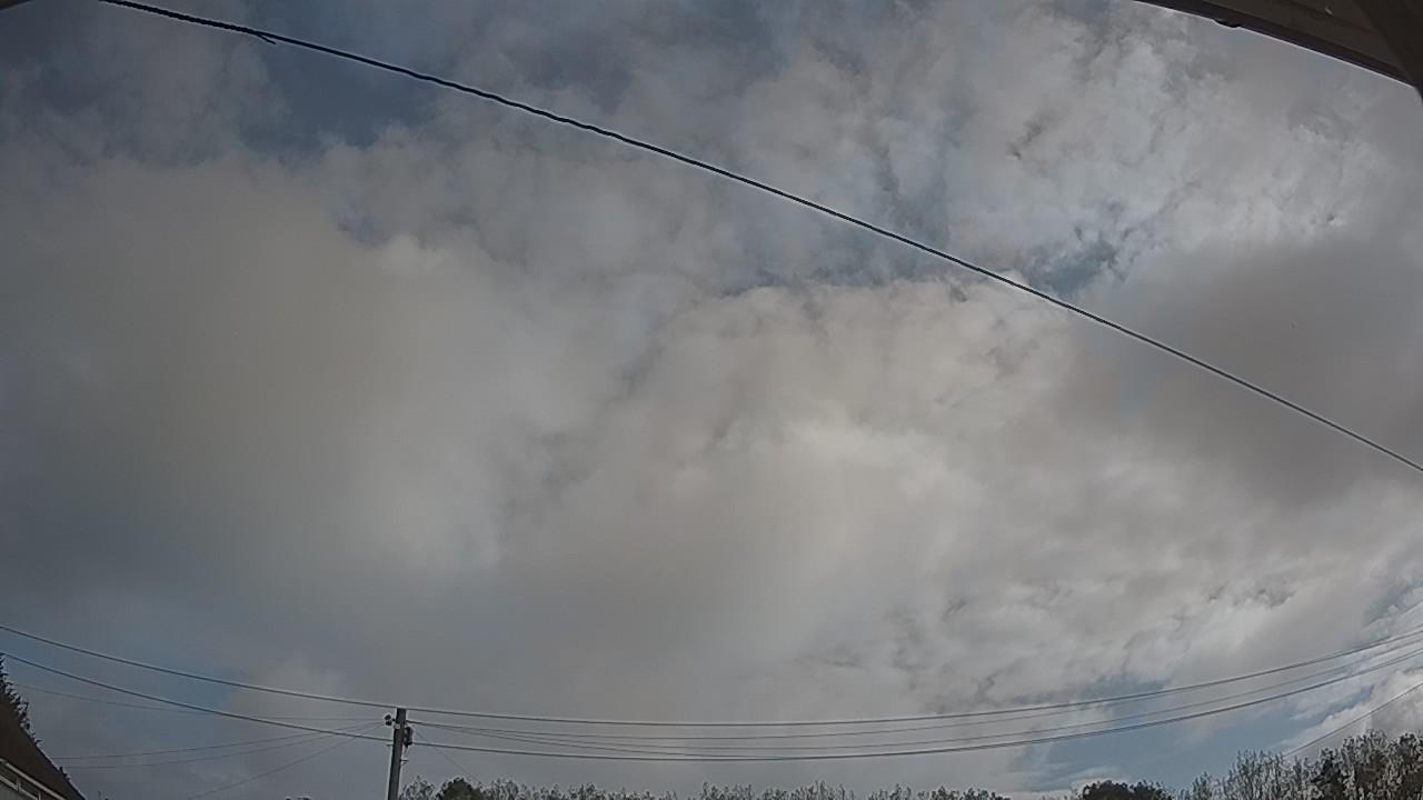 20260830_083308_cam2.jpg