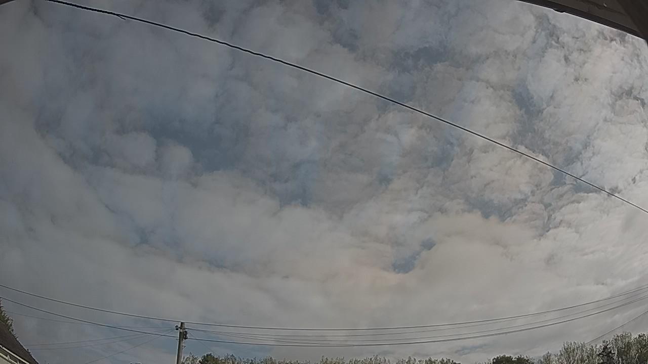 20260830_084629_cam2.jpg