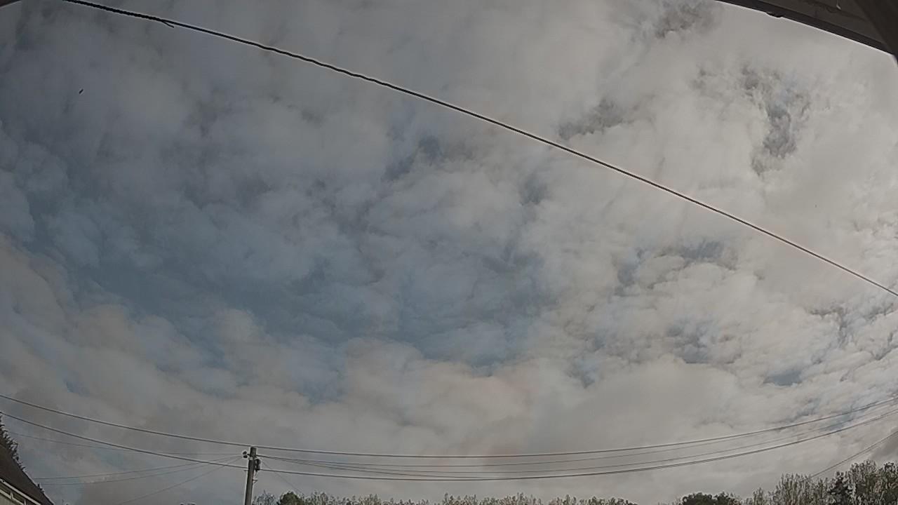 20260830_085055_cam2.jpg