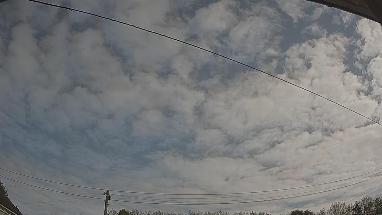 20260830_085939_cam2.jpg