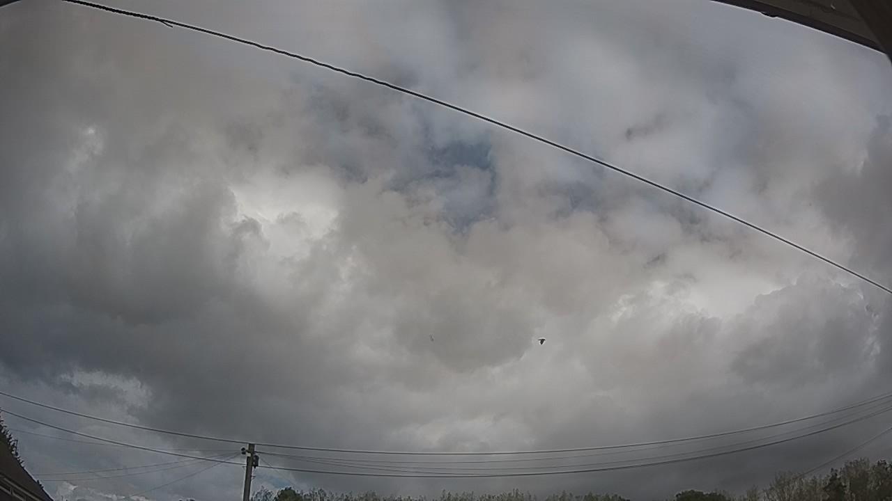 20260830_114549_cam2.jpg