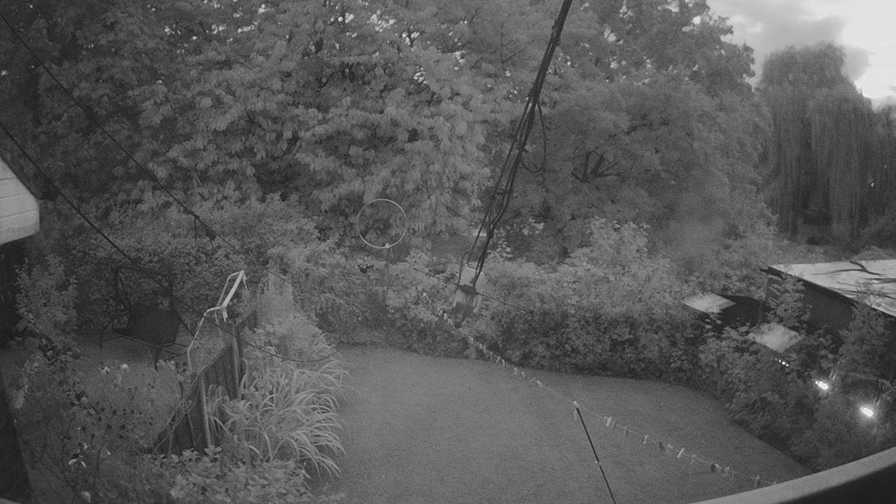 20260830_193442_cam1.jpg
