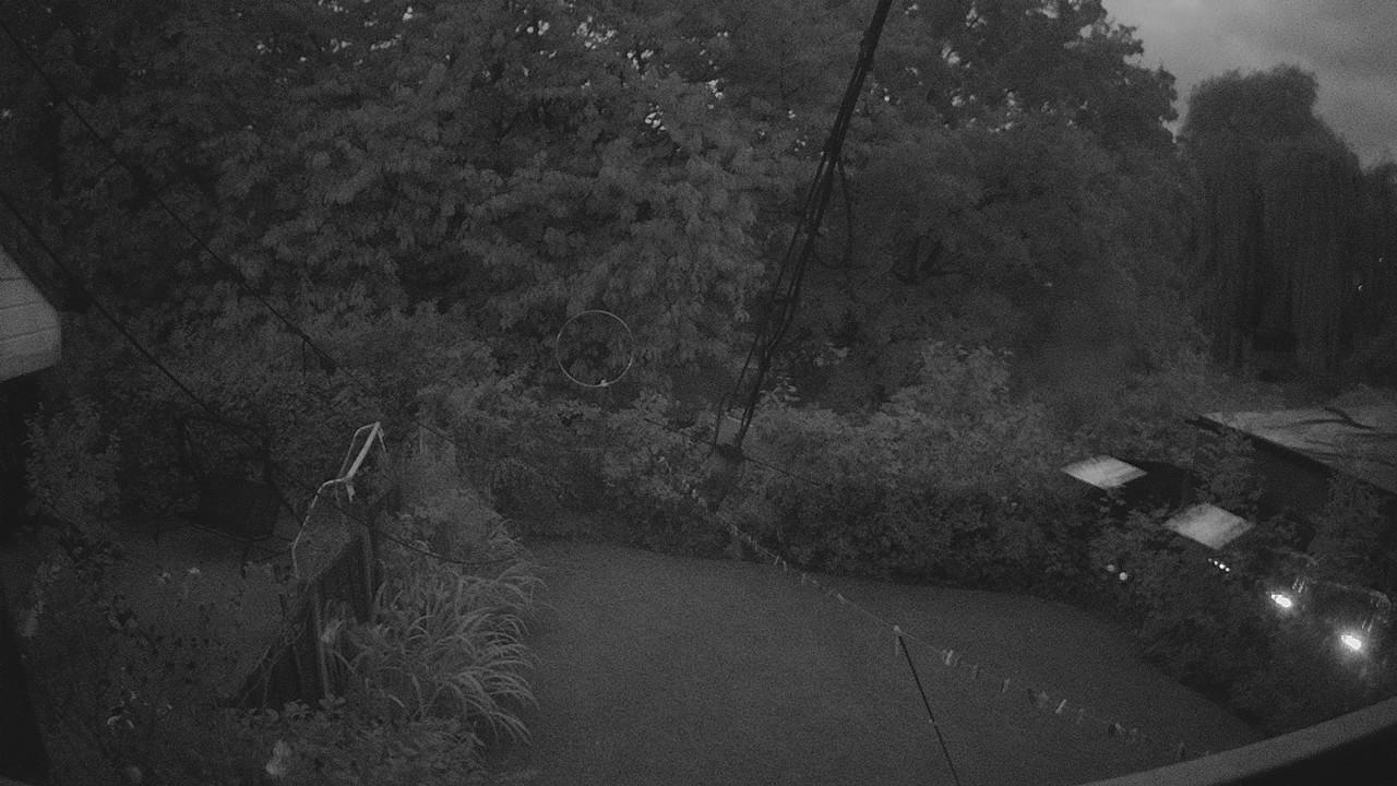 20260830_193927_cam1.jpg