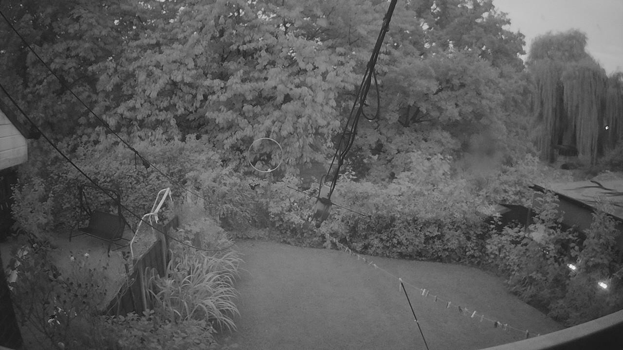 20260831_045139_cam1.jpg