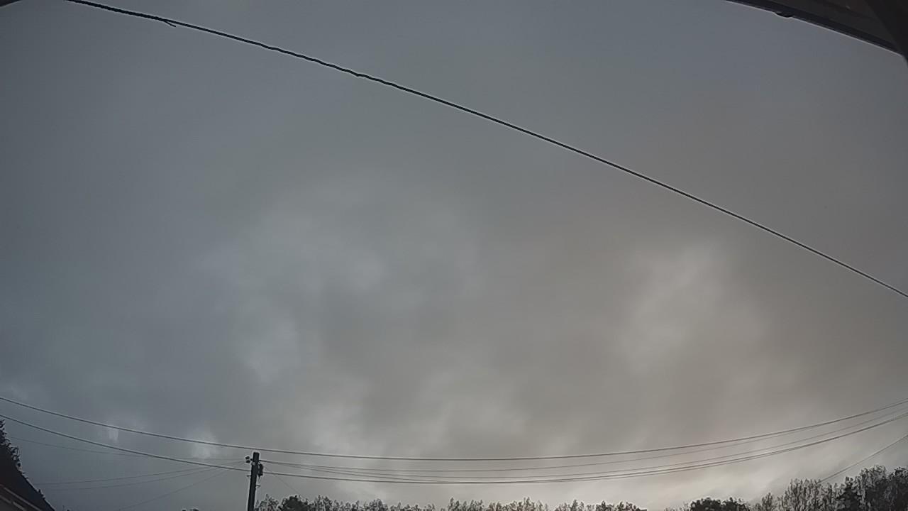 20260831_050101_cam2.jpg