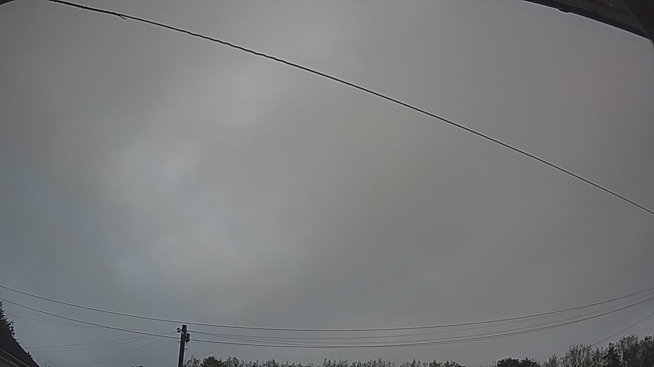 20260831_055051_cam2.jpg