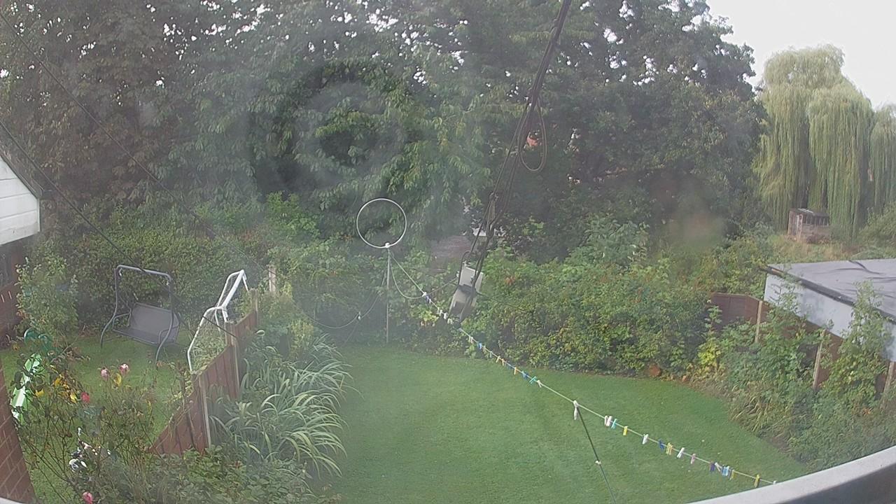 20260831_080739_cam1.jpg