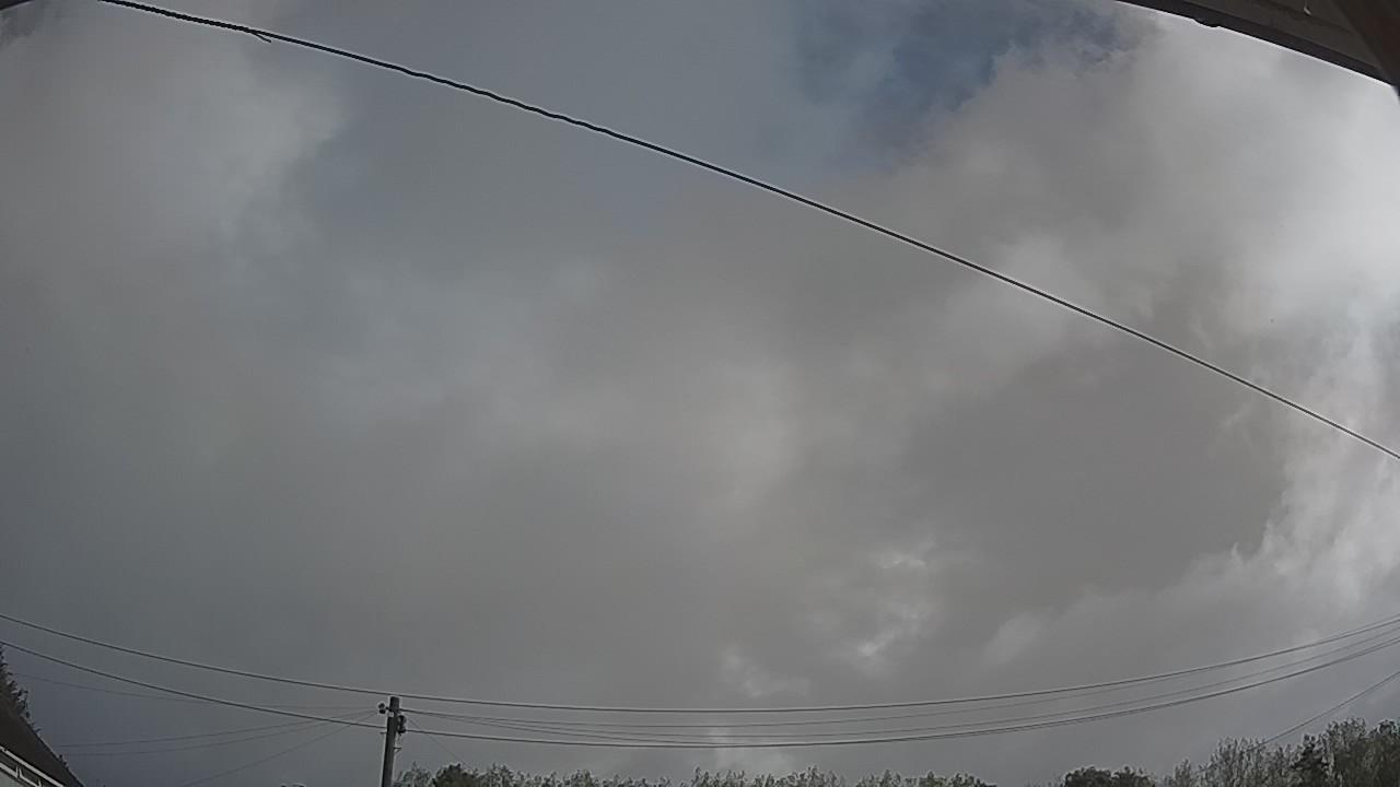 20260831_083011_cam2.jpg