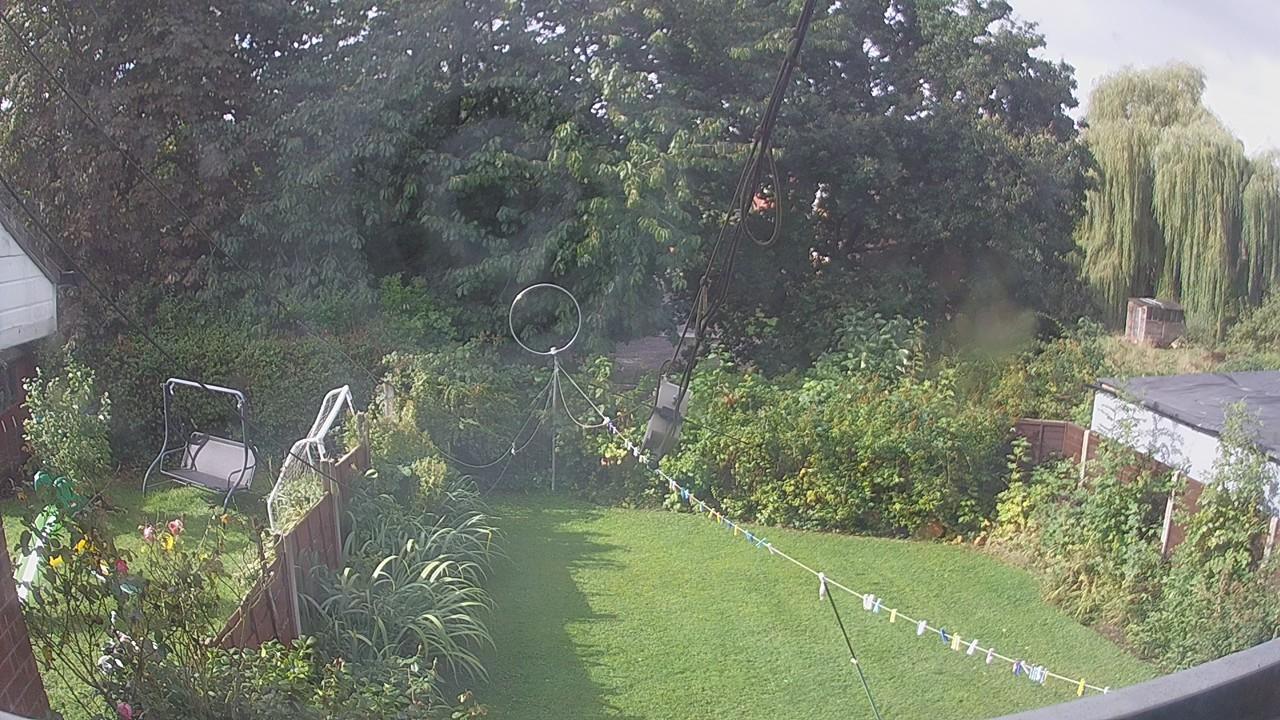 20260831_085506_cam1.jpg