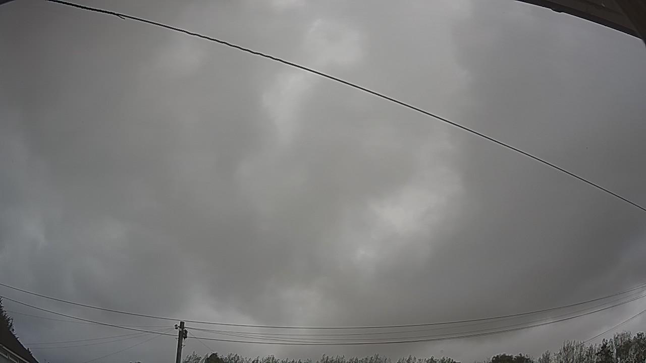 20260831_100008_cam2.jpg