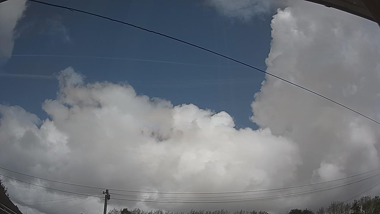 20260831_130115_cam2.jpg
