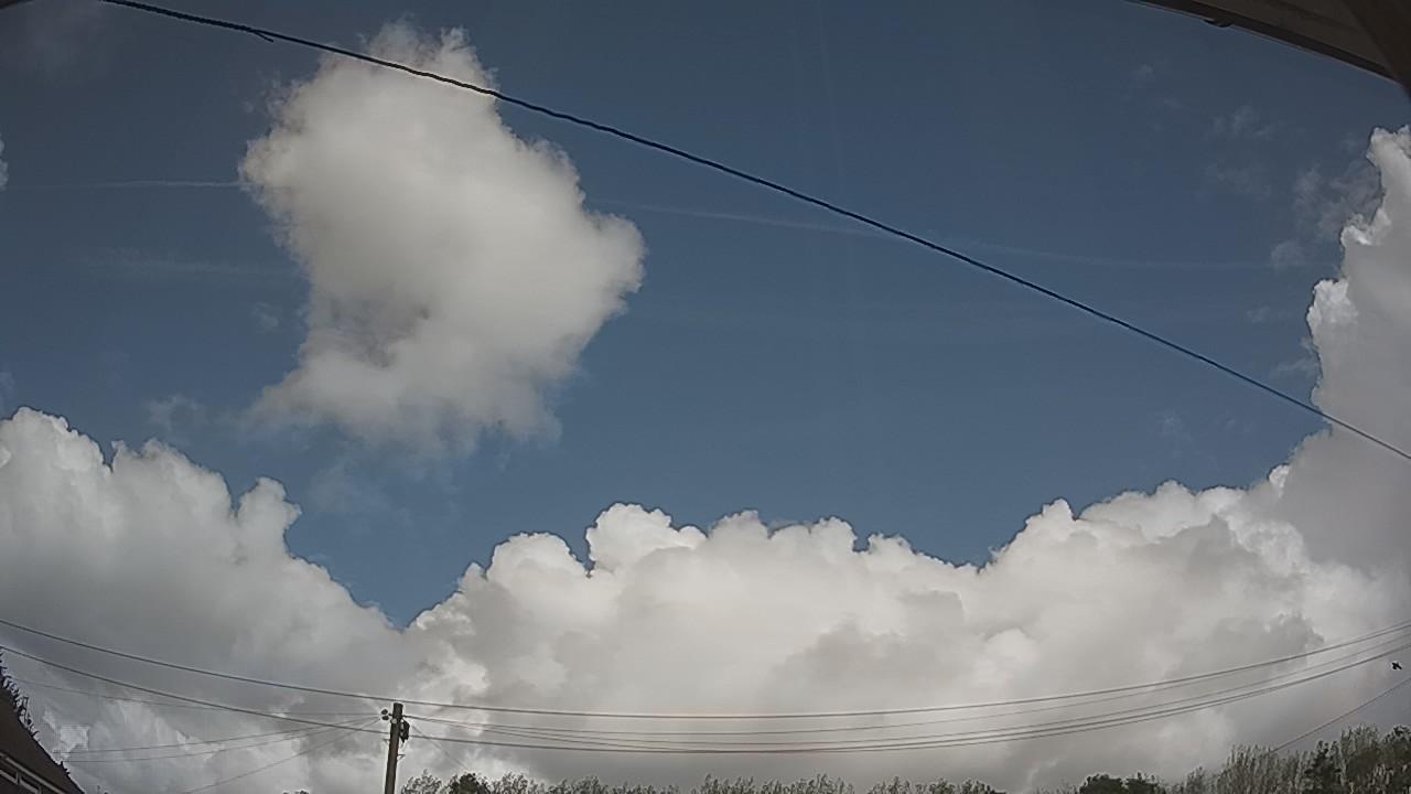 20260831_130402_cam2.jpg