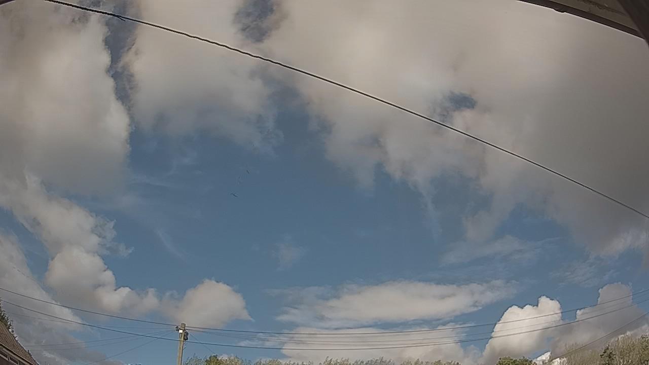 20260831_135128_cam2.jpg