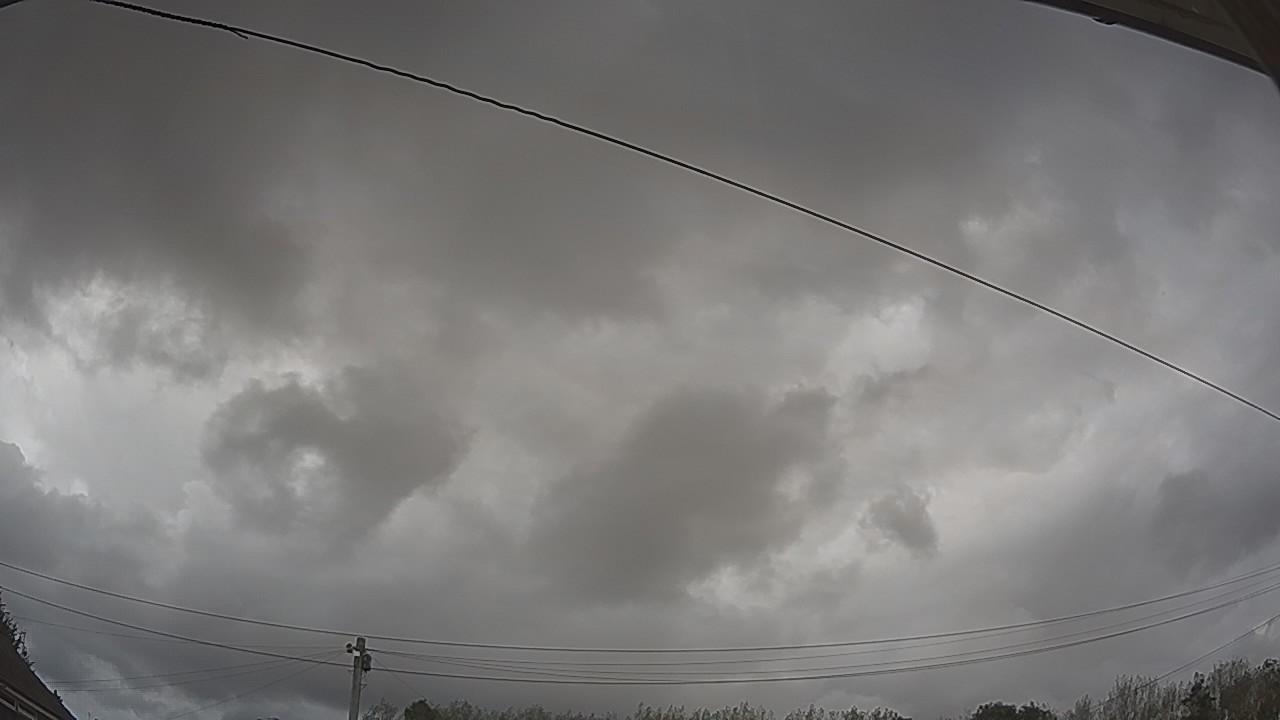 20260831_141237_cam2.jpg