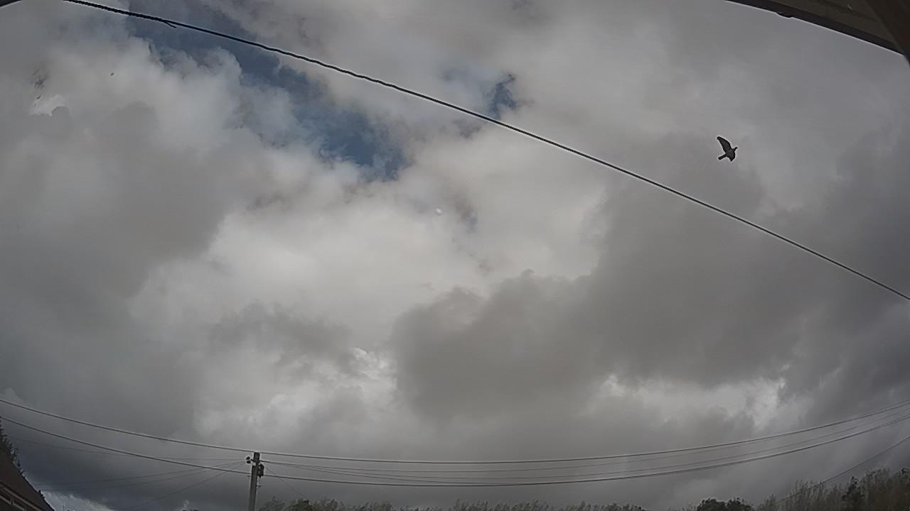 20260831_141848_cam2.jpg