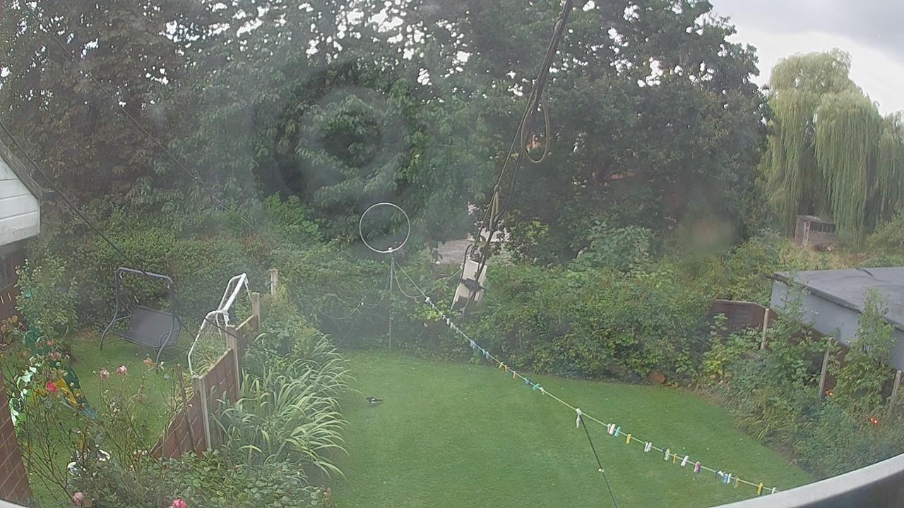 20260831_164745_cam1.jpg