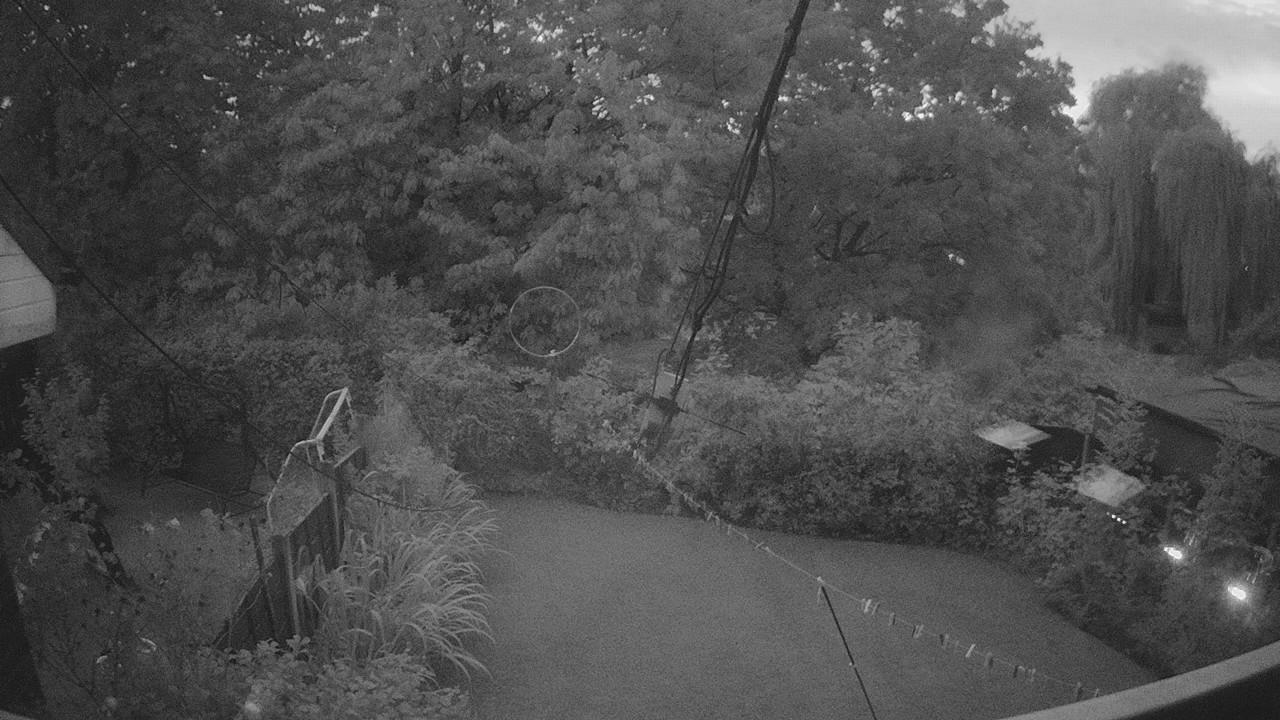 20260831_193207_cam1.jpg