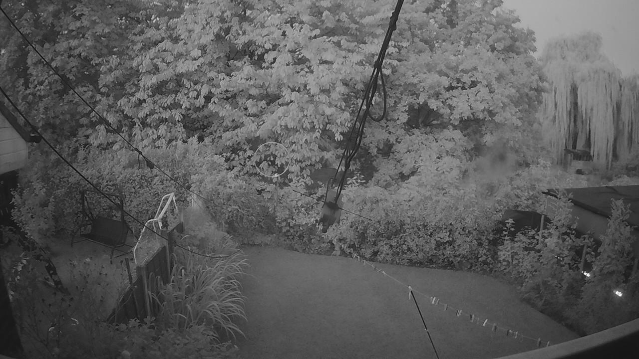 20260901_045503_cam1.jpg