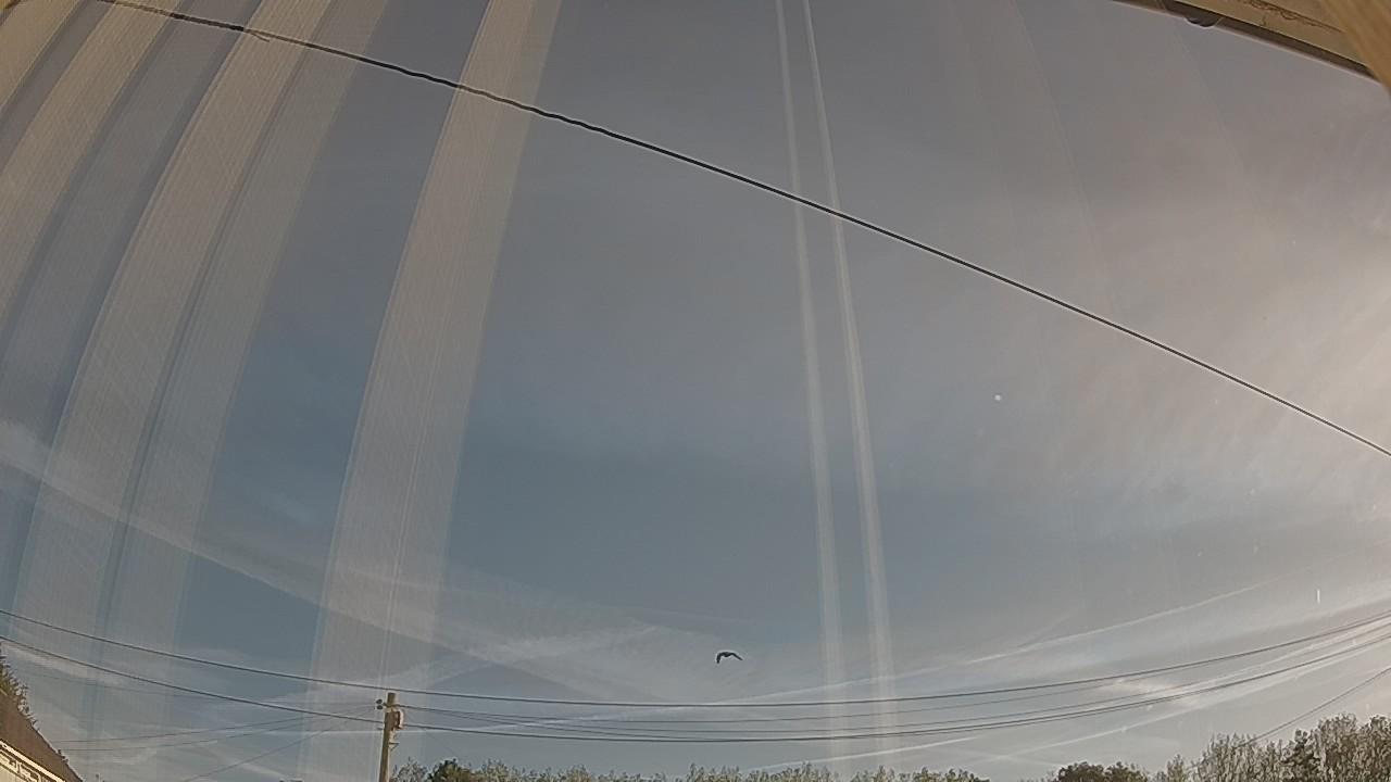 20260901_065515_cam2.jpg