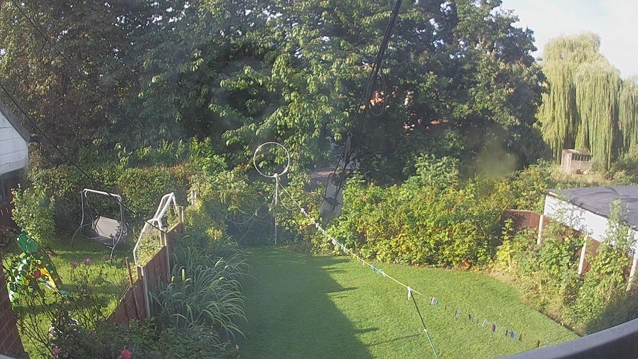 20260901_075309_cam1.jpg