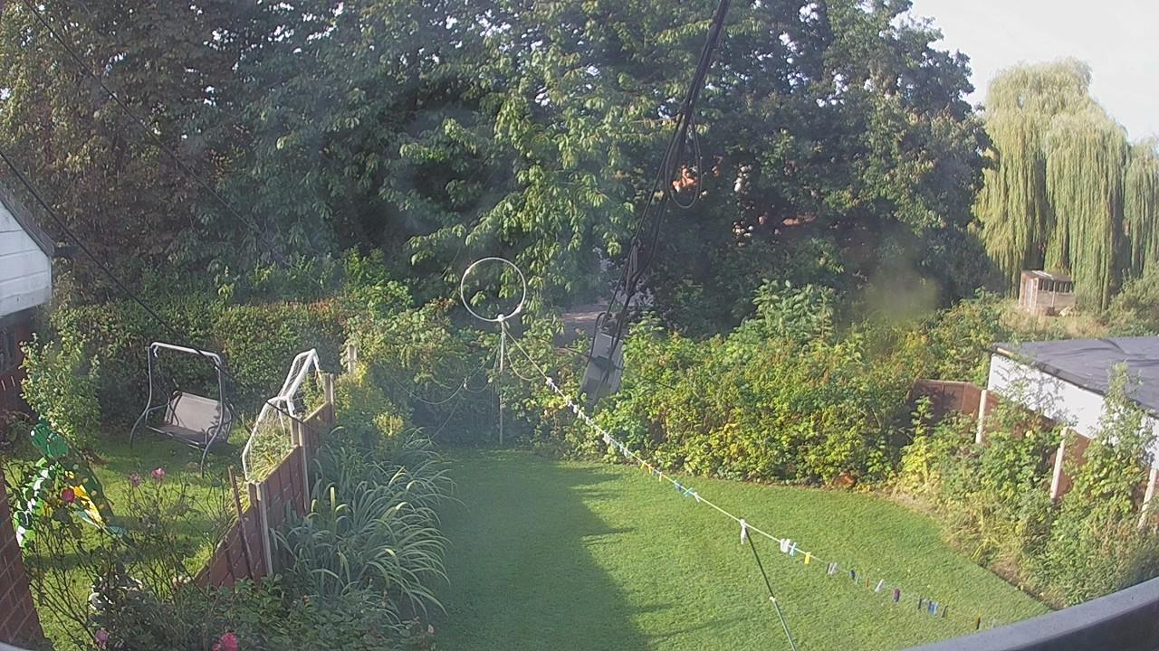 20260901_080205_cam1.jpg