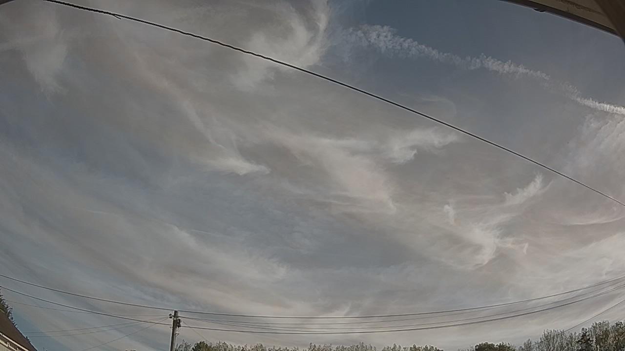 20260901_080206_cam2.jpg