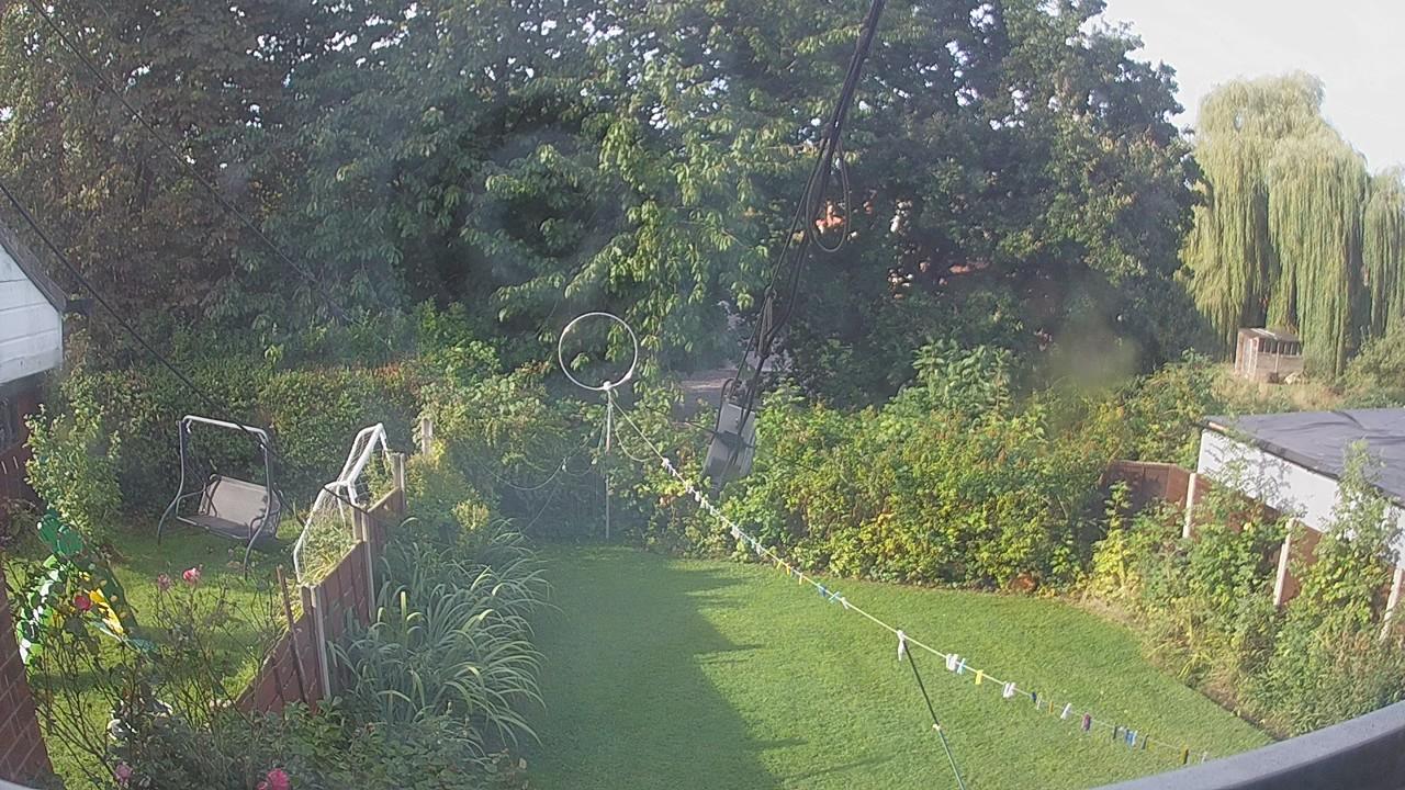 20260901_080633_cam1.jpg