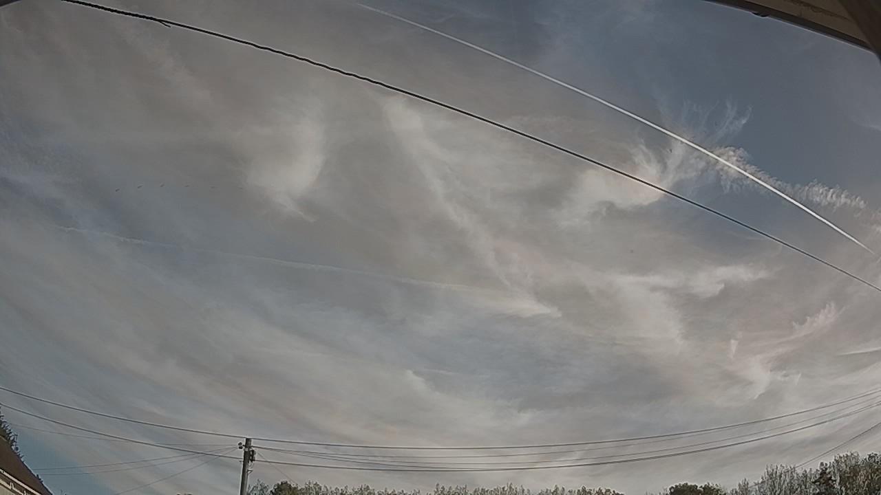 20260901_080634_cam2.jpg