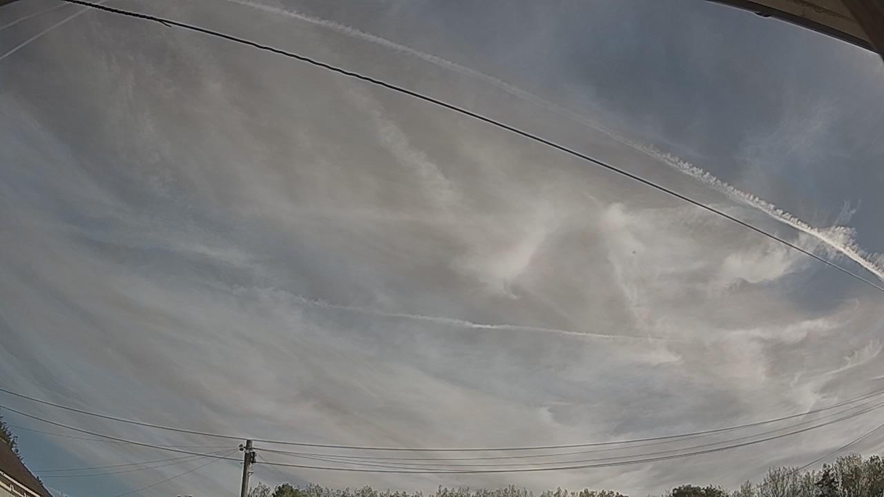 20260901_081101_cam2.jpg