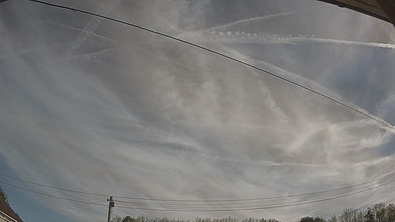 20260901_081528_cam2.jpg