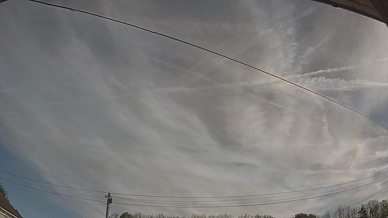 20260901_081954_cam2.jpg