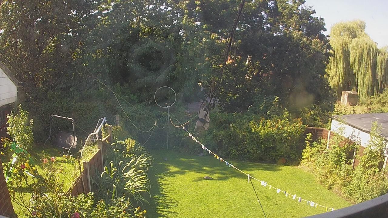 20260901_095334_cam1.jpg
