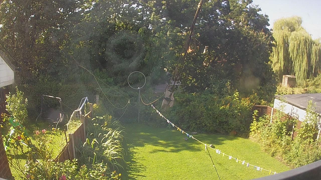 20260901_100134_cam1.jpg