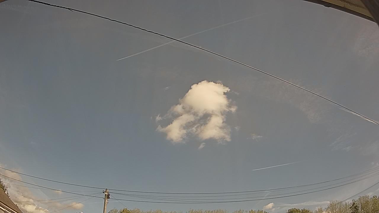 20260901_100135_cam2.jpg