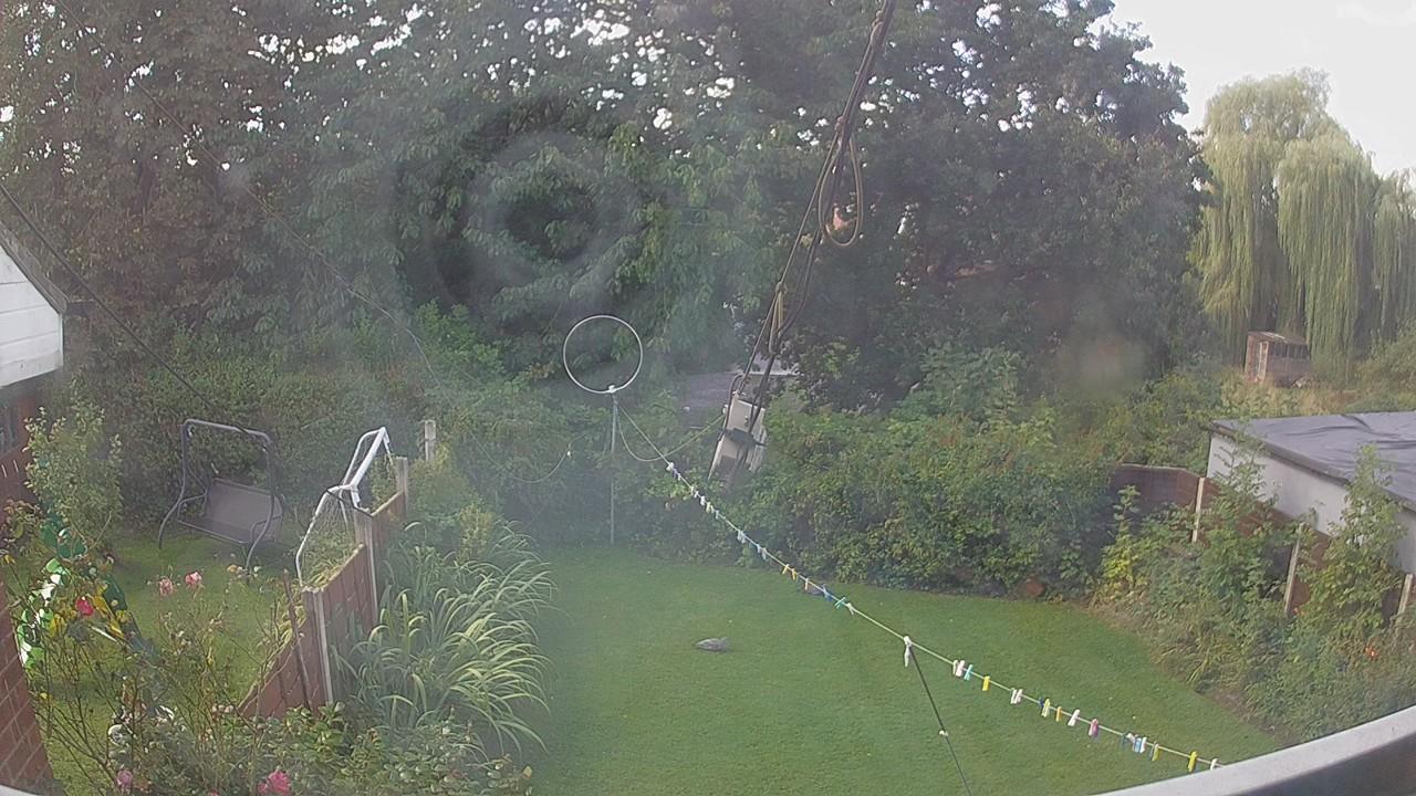 20260901_100933_cam1.jpg